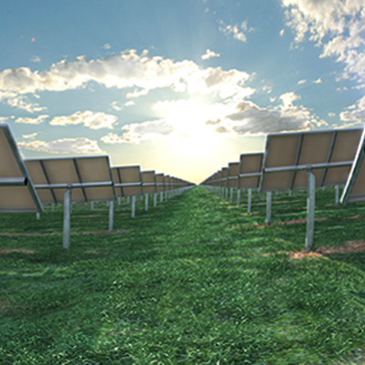Moree Solar Farm